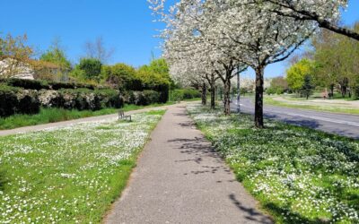 Tendances immobilières à Sainte-Foy-lès-Lyon – Printemps 2026