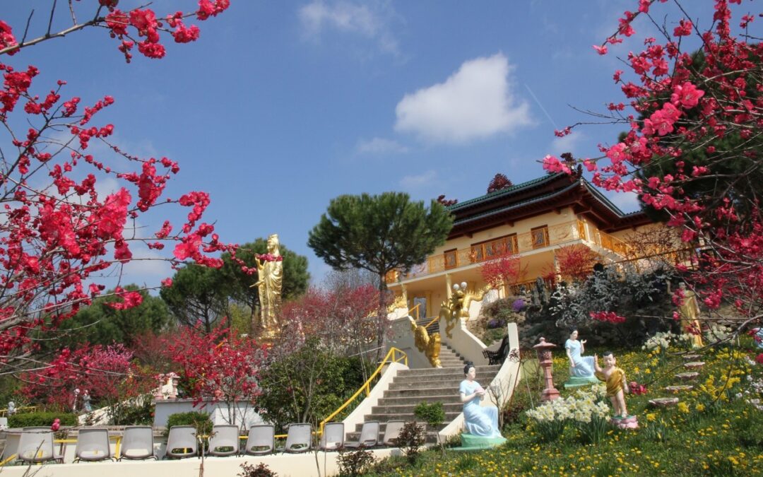 La Pagode Thiên Minh, un lieu à part à Sainte-Foy-lès-Lyon